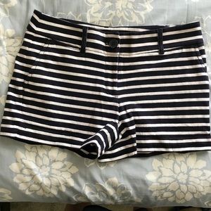Ann Taylor LOFT Cotton Shorts